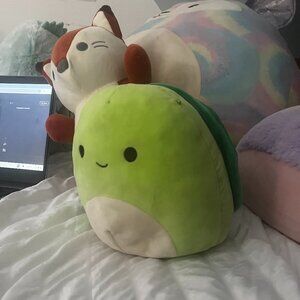 turtle has small stains